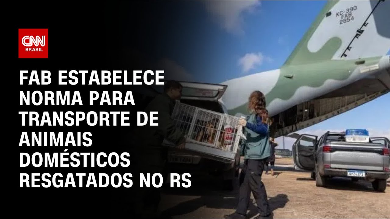 FAB estabelece norma para transporte de animais domésticos resgatados no RS | AGORA CNN